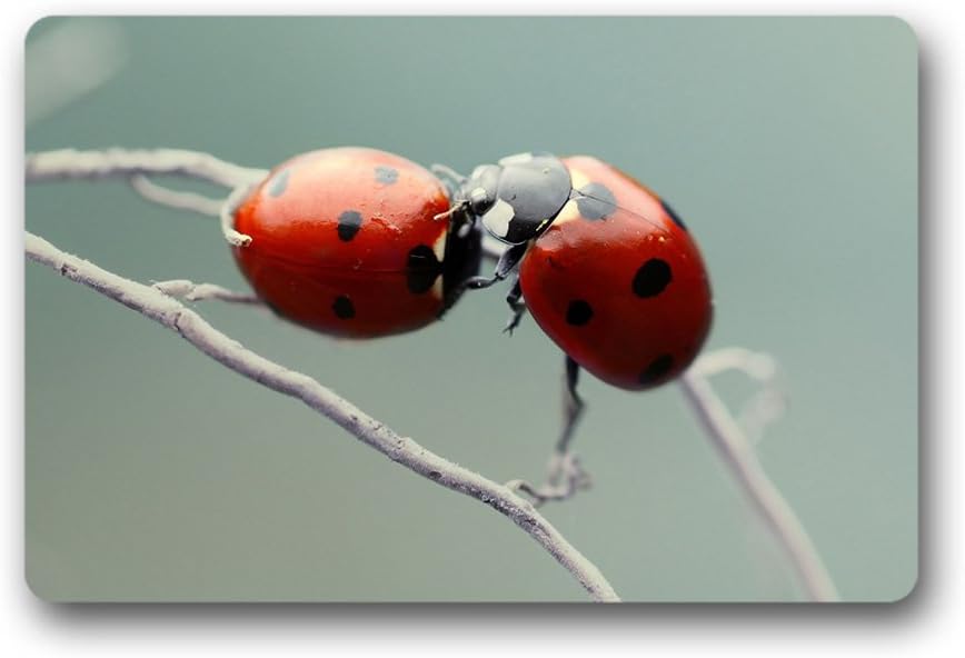 Forheart ladybug Doormat Rubber Non-Slip Personalized Doormat for Indoor and Outdoor (23.6"x 15.7")