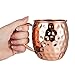 Moscow Mule Copper Mugs: Set of 2 x 18oz Mug, 2 x Coaster, 2 x Straw, 1 x Shot Glass/Cup & Bonus Cocktail Recipe eBook - 100% Copper Accessories & Kit: Handmade & Hammered - The Perfect Kitchen Gift