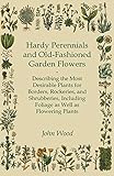 Hardy Perennials and Old-Fashioned Garden Flowers: Describing the Most Desirable Plants for Borders, Rockeries, and Shrubberies, Including Foliage as Well as Flowering Plants by 