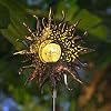 Homeimpro Sun Solar Lights Garden Outdoor,Crackle Glass Globe Stake Lights,Waterproof LED Lights for Garden,Lawn,Patio…
