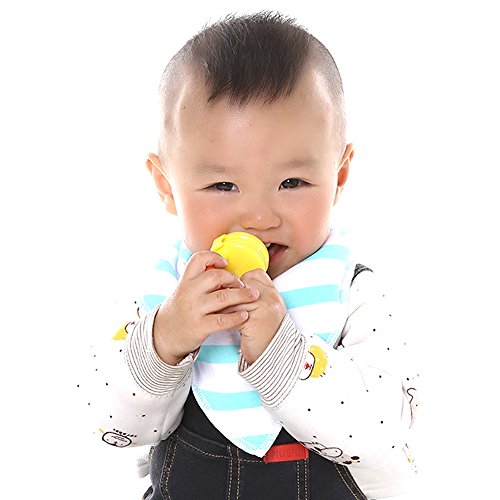 Baby Food Feeder Teether(2Pcs), BESTWIN Infant Fruit Teething Nibble