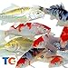 Toledo Goldfish Live Standard Koi for Ponds, Aquariums or Tanks – USA Born and Raised – Live Arrival Guarantee (3 to 4 inches, 100 Fish)thumb 4