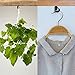 BeneLabel 20pcs Christmas Light Hook Screw-in Hanger for Outdoor Garden Hanging Plant, String Wire, Cups, Kitchen Utensils, 4.8cm / 26lbs, Black