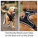 rabbitgoo Adjustable Dog Harness No Pull Reflective Vest with Handle High Visibility Reinforced Straps Easy Control Harness (Large, Black)