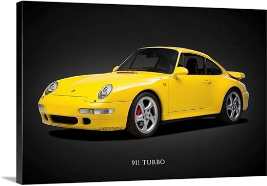 993 canvas