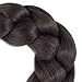 Alissa Jumbo Braiding Hair Extensions High Temperature Kanekalon Synthetic Braiding Twist Hair Multiple Tone Colored Jumbo Braiding Hair (24
