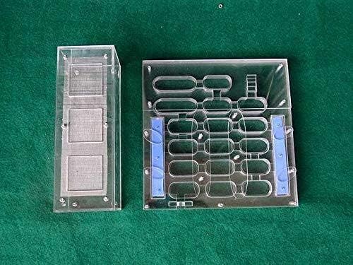 MTCWD Big Ant Nest Transparent Ant Workshop Easy to Install Ant Habitat Assembling Insect Ant Pet Cage for Kids Sientific Abservation