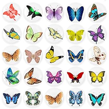 HSJH Refrigerator Magnets 24pack Colorful Beautiful Poop Emoji Fridge stickers Funny for Office Cabinets Whiteboards Decorative Photo Kids And Adults Gift (24 Butterflies)