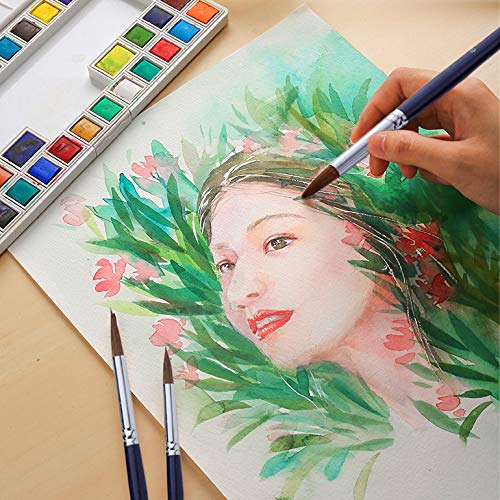 Artist Round Watercolor Detail Paint Brushes Natural Hair 7pcs for Watercolors, Acrylics, Inks, Gouache, Oil and Tempera