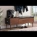 BAXTON STUDIO Merrick Mid-Century Retro Modern 1 Drawer and Wood Cushioned Bench Shoe Rack Cabinet Organizer, Dark Brown