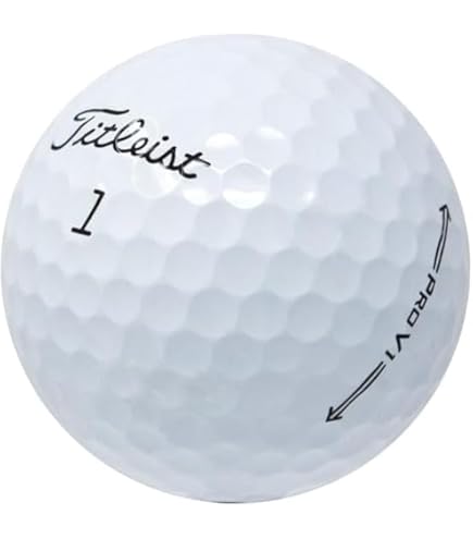 Amazon.com : Titleist Pro V1/Pro V1x Practice Quality 48 Golf
