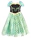 Cotrio Little Girls Anna Coronation Dress Princess Anna Costume Dress up Halloween Cosplay Fancy Dresses Size 3T (2-3yrs, Green)