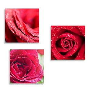 wall26 3 Panel Canvas Wall Art Romantic Rose...