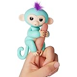 black fingerling monkey