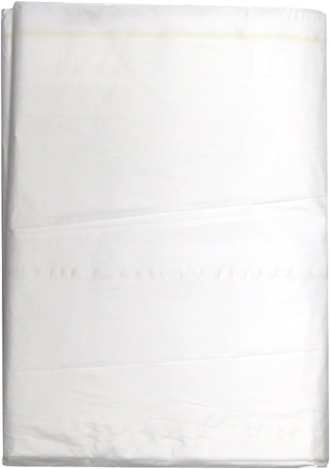 Trimaco 2602 Double Guard Super Tuff 2-Layer Drop Cloth, 4-feet x 10-feet: Home & Kitchen