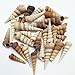 PEPPERLONELY Brown Auger Sea Shells, 8 OZ Approx. 20+PC Shells, 2 Inch ~ 4 Inch