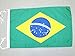 AZ FLAG Brazil Flag 18'' x 12'' Cords - Brazilian Small Flags 30 x 45cm - Banner 18x12 in