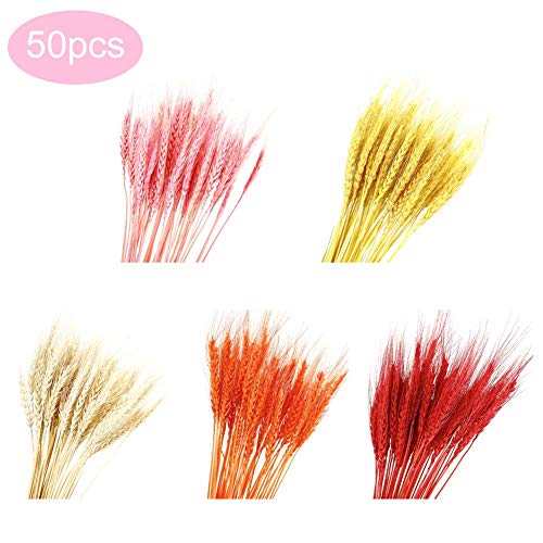 Natural Dried Natural Wheat Sheaves,Wheat Stalk Bundle Decorative Wheat Bouquet for Flower Arranging Photograph Props Wedding Decoration - Thumbnail 4
