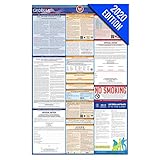 2020 Georgia Labor Law Poster - State, Federal, OSHA Compliant - Single Laminated Poster