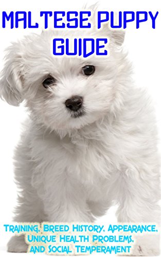 Maltese Puppy Training Guide: Training, Breed History, Appearance, Unique Health Problems, and Social Temperament