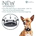 GoodBoy Small Rechargeable Dog Bark Collar For Tiny To Medium Dogs by Waterproof And Vibrating Anti Bark Training Device That Is Smallest & Most Safe On Amazon - No Shock No Spiky Prongs! (6+ lbs)