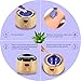 Wax Warmer Waxing Kit - Aldom - Digital LCD Display Hair Removal Wax Pot with Precision Temperature Control (110°F - 246°F), 4-Flavor Wax Beans and 20 Wax Applicator Stickers for Professional Beauty