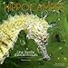 Hippocampes - une famille d'excentriques (Ouvrages nationaux grand public) (French Edition) by