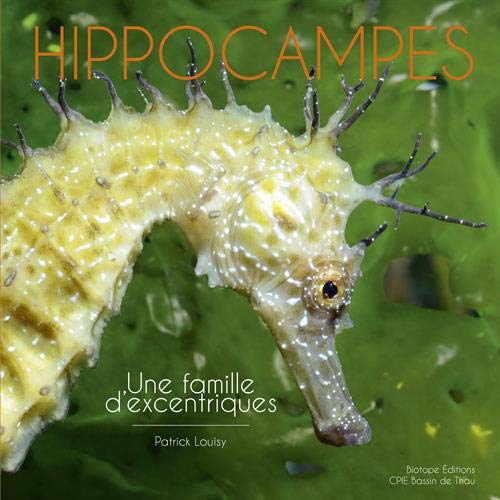 Hippocampes - une famille d'excentriques (Ouvrages nationaux grand public) (French Edition) by PATRICK LOUISY