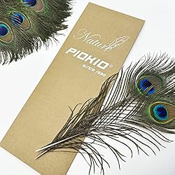 Piokio 100 pcs Natural Peacock Feathers in Bulk