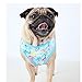 Puppia Authentic Spring Garden Harness A, Pink, Small