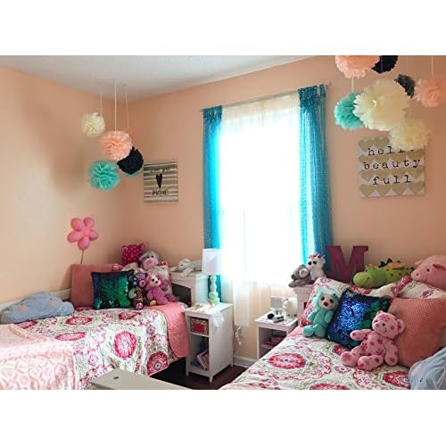 Qian S Party 13pcs Mint Peach Cream Tissue Paper Fan Tissue Pom