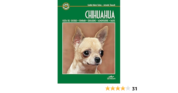chihuahua amazon