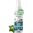 AmeizPet Catnip Spray for Cats, Cat Scratching Sprays, Transparent Cat & Kitten Behaviour Spray 50 ml (1.69 Oz)