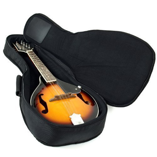 Best Mandolin Accessories Comparisons and Specifications Banjog
