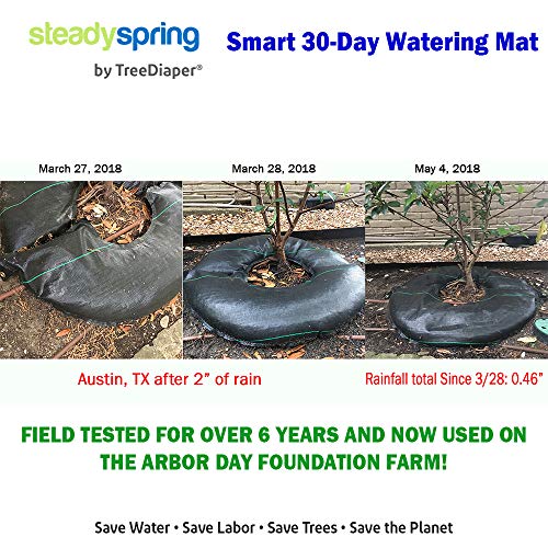 SteadySpring Smart 30Day Tree Watering Mat Auto Refills with Rain for