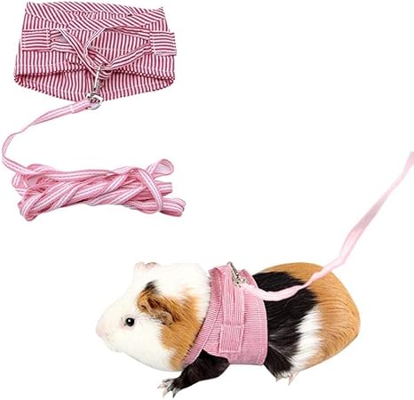 pets at home rabbit harness