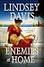 Enemies at Home: A Flavia Albia Novel (Flavia Albia Mystery Series Book 2) by Lindsey Davis