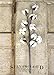 Silvercloud Trading Co. Cotton Stems - 3 Stems/Pack - 10 Cotton Buds/Stem - 20