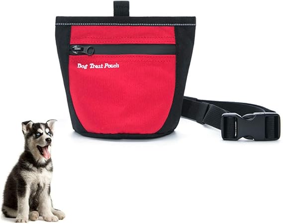 dog walking accessories uk