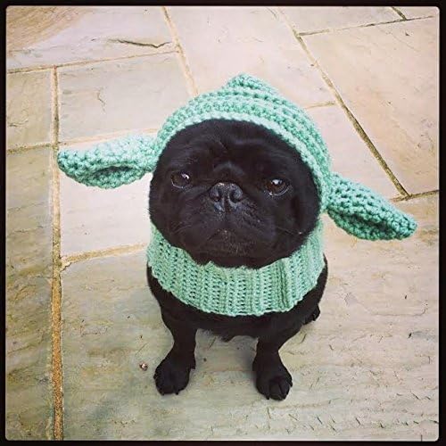 The Yoda dog. Star Wars inspired Hat, snood, hoodie for your doggie.