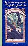 Couverture de Les Désastreuses aventures des orphelins Baudelaire n° 2 Le Laboratoire aux serpents : Vol.2