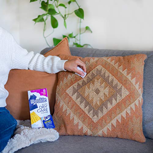 Woolite AtHome Dry Cleaner Dry Cleaning Cloths and Stain Removal, Easy