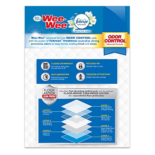 Wee-Wee Puppy Training Pee Pads 10-Count 22