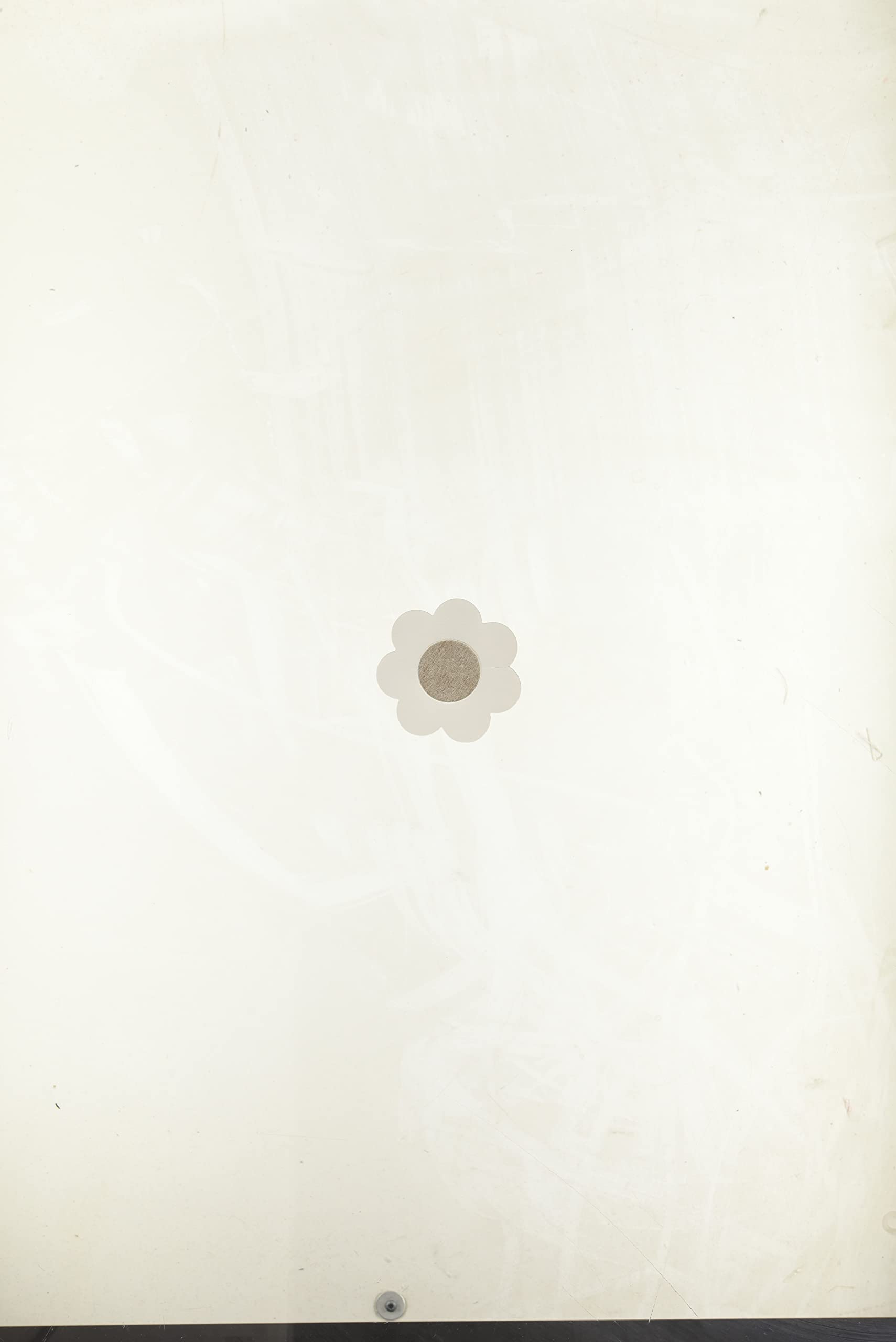 Maidenform Women's 5 Pair Satin No Show Petals