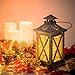 Oak Leaf 60-LED Fairy Lights,6-Pack Battery Operated String Lights,Warm White,9.8ft