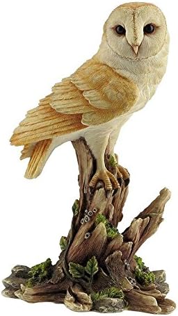 Amazon Com Xoticbrands Decorative 5 12 Inch Barn Owl Animal