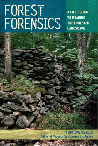 Landform Building: Architecture's New Terrain: Allen, Stan