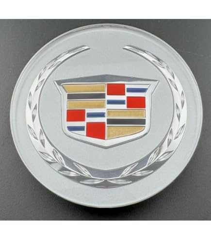 Amazon.com: Genuine GM 9599024 Hub Cap : Automotive