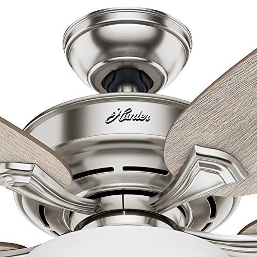 Hunter Fan 54 inch Casual Noble Bronze Indoor Ceiling Fan with Light