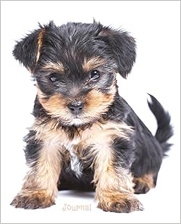 adult size rocking horse